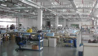 漫說清明 子孫榮歸背后的祖宗羞愧與新興能源技術研發